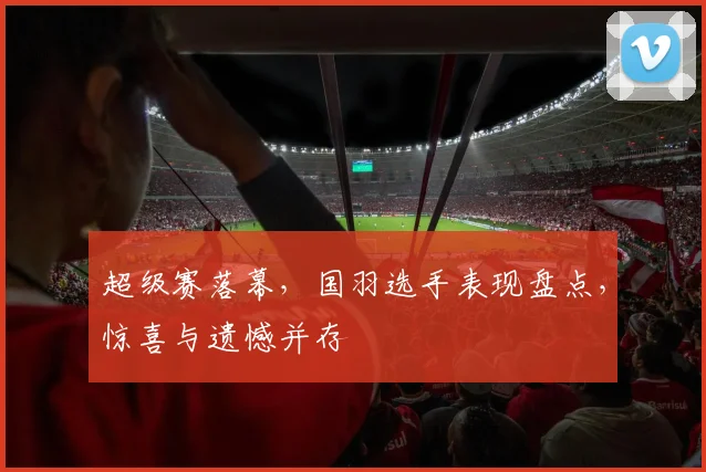 超级赛落幕，国羽选手表现盘点，惊喜与遗憾并存