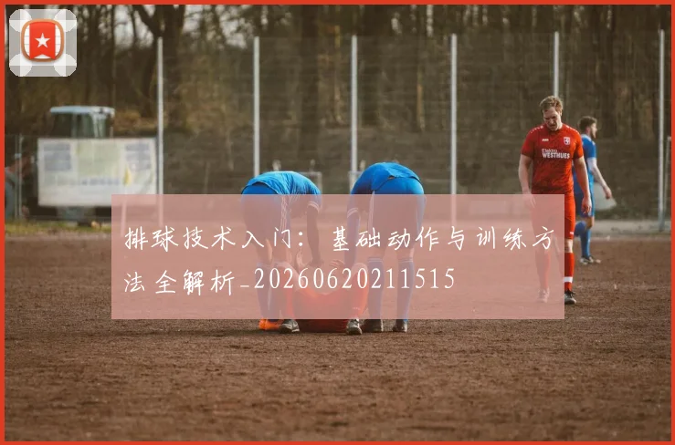 排球技术入门：基础动作与训练方法全解析_20260620211515