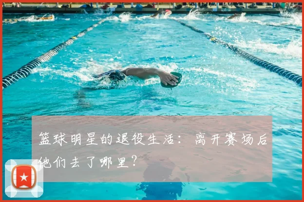 篮球明星的退役生活:离开赛场后他们去了哪里?