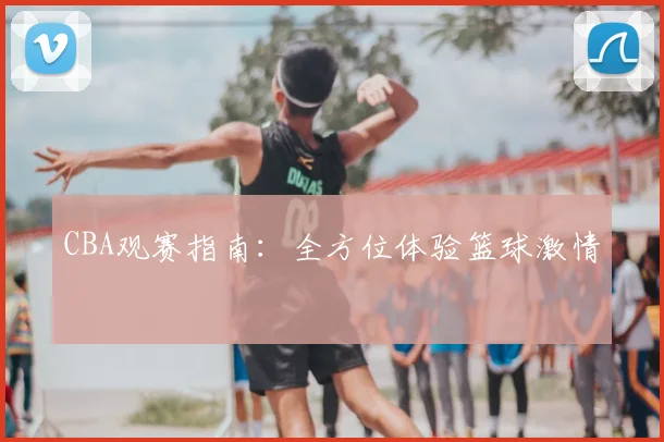CBA观赛指南：全方位体验篮球激情